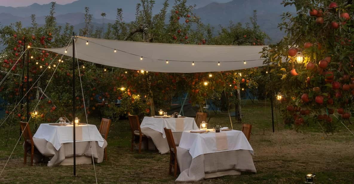 Fine Dining Experience Inside an Orchard in Nagano - Guided Orchard Tour