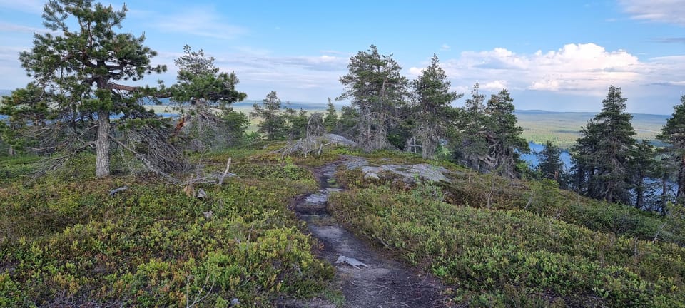 Finnish Lapland: Midnight Sun Walk in Riisitunturi Park - Itinerary and Logistics