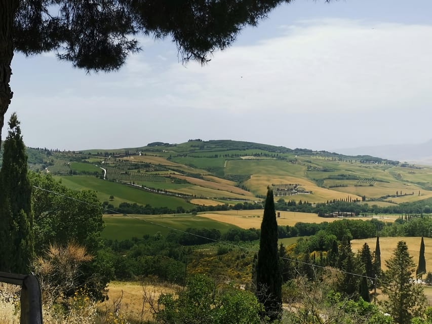 Florence: Montepulciano, Pienza, & Montalcino Private Trip - Transportation Options