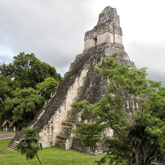 Flores: 1-Day Tikal Tour Private Service From Your Hotel - Experience Highlights