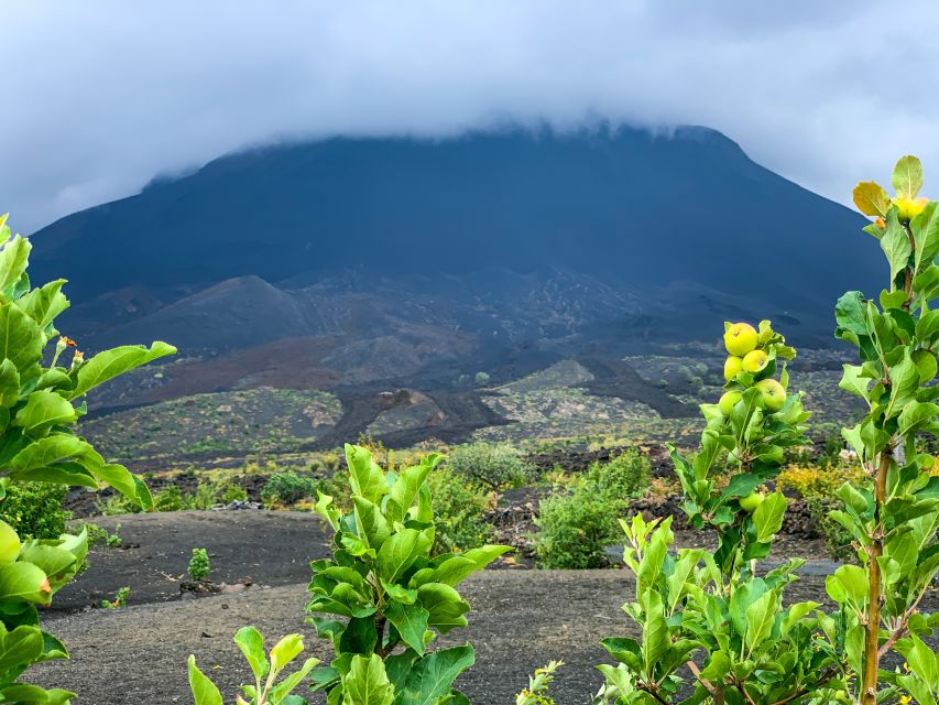 Fogo Island: Pico Do Fogo Volcano Summit Hike - Pricing and Reservation