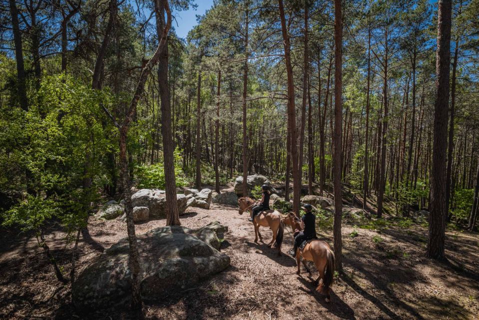 Fontainebleau: Horse-riding, Gastronomy & Château - Highlights of the Experience