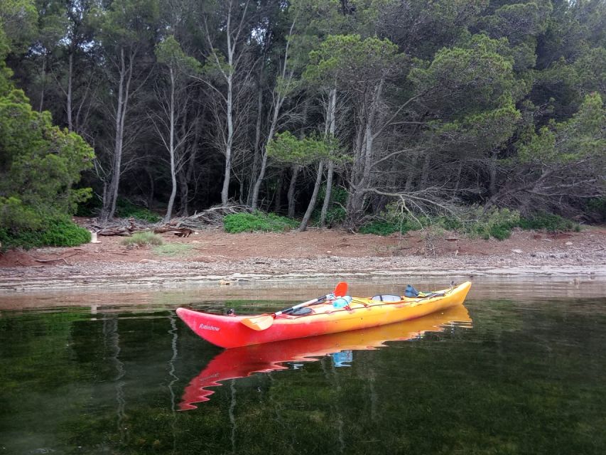 Fornells Bay: Sunset Kayak Tour From Ses Salines, Menorca. - Experience Highlights