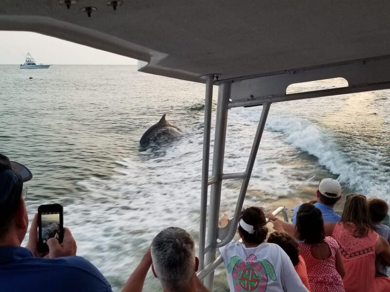Fort Walton: Dolphin Discovery and Snorkeling Cruise - Educational Experience