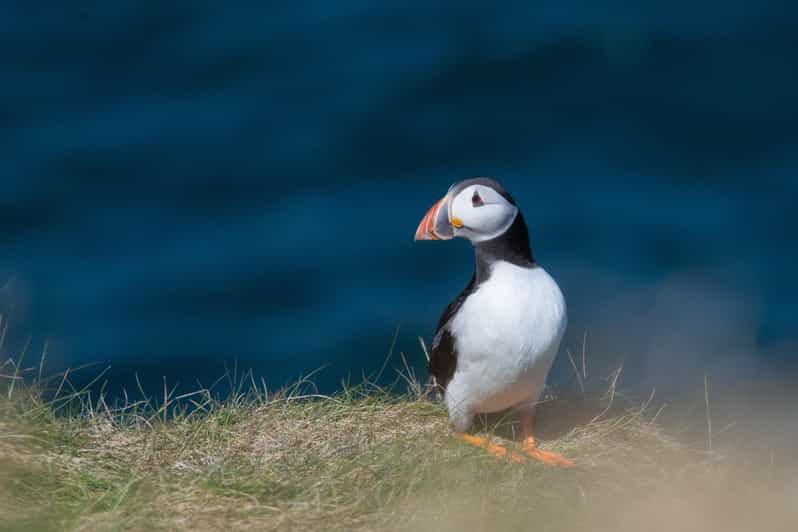 From Aberdeen: North East Coastal Trail Small-Group Tour - Transportation Details