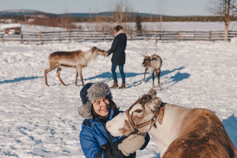 From Abisko/Björkliden: Jukkasjärvi Sami and Reindeer Tour - Customer Feedback