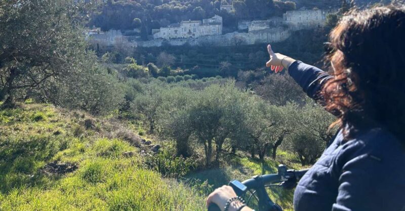 From Aix-en-Provence: Luberon Region E-Bike Full-Day Tour - Highlights of the Tour
