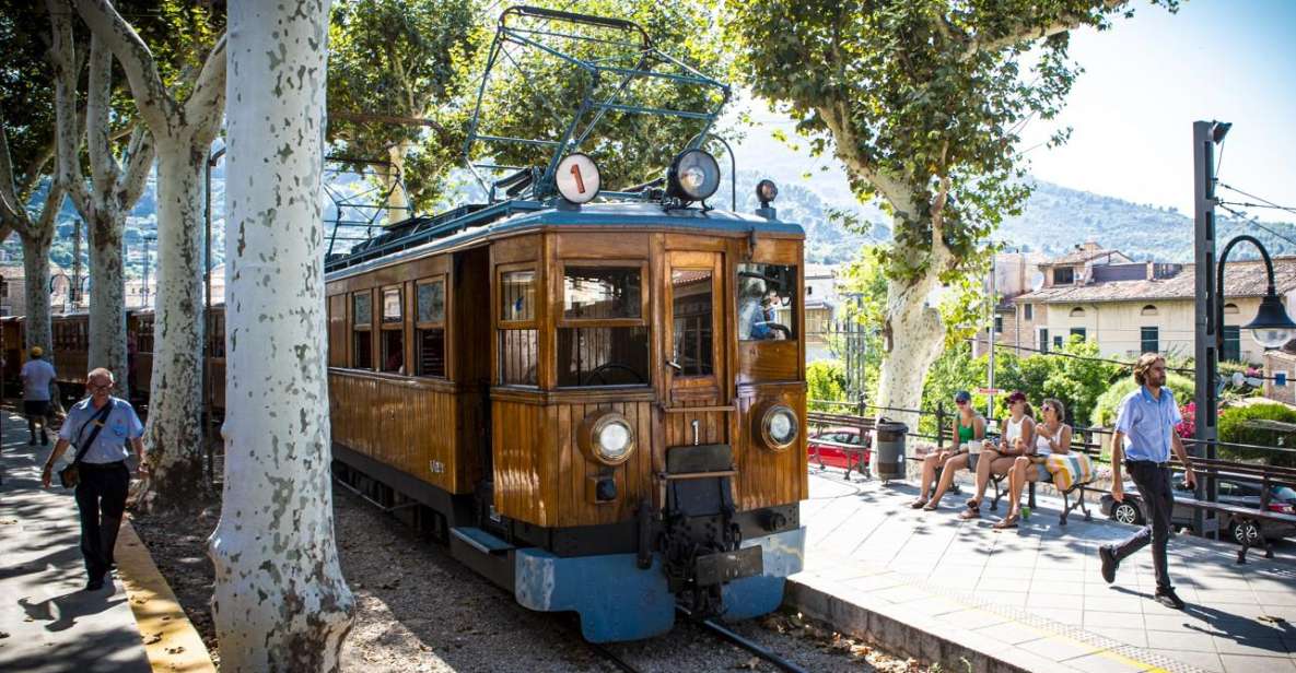 From Alcúdia: Soller Train and Tram Half Day Tour - Highlights and Activities