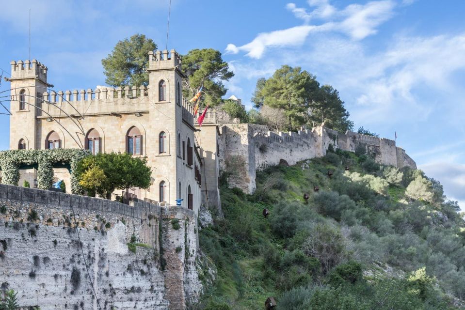 From Alicante: Xativa and Anna Guided Tour - Inclusions