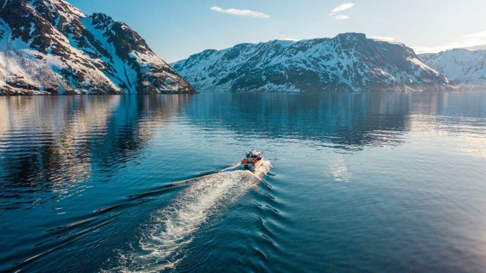 From Alta: Adventure Cruise in Alta Fjord - Inclusions and Amenities