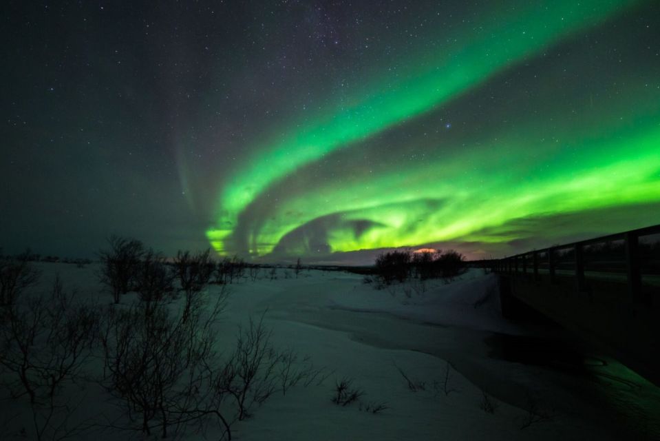 From Alta: Nighttime Northern Lights Spotting Tour - Search for Northern Lights