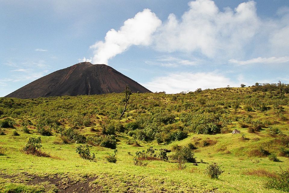 From Antigua: Pacaya Volcano Trek - Safety and Restrictions