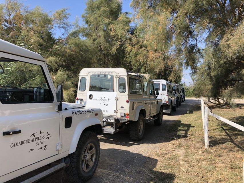 From Arles: Half-Day 4x4 Camargue Safari - Inclusions and Exclusions