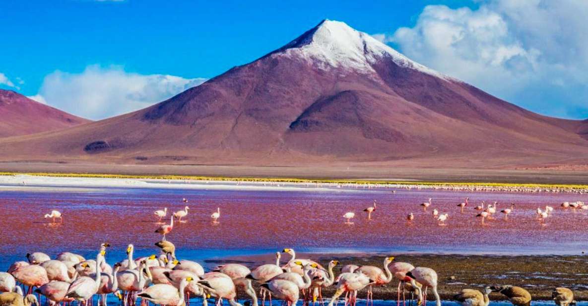 From Atacama | Uyuni Salt Flat 4 Days the Largest Salt Flat - Key Highlights of Each Day