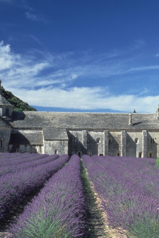 From Avignon: Half-Day Hilltop Villages of Luberon - Pricing and Duration