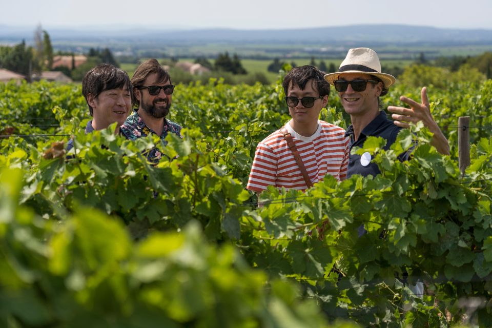 From Avignon: Morning Wine Tour to Châteauneuf Du Pape - Inclusions and Exclusions