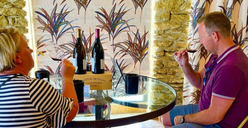 From Avignon: Wine Tour in 3 Places Inc. Châteauneuf Du Pape - Wine Tasting Experience
