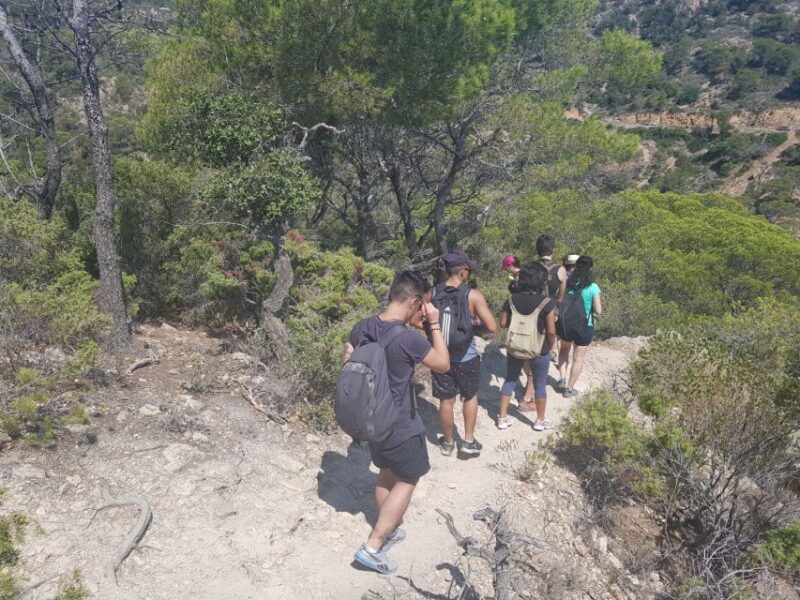 From Barcelona: Costa Brava Trekking and Kayaking Tour - Inclusions