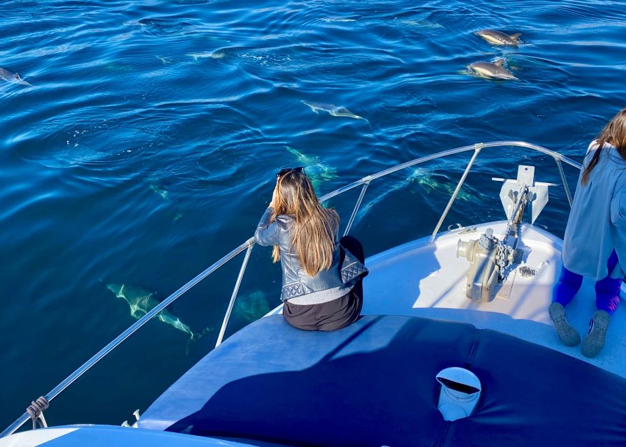 From Benalmádena & Torremolinos: Dolphin Watch Boat Trip - Dolphin Watching Experience