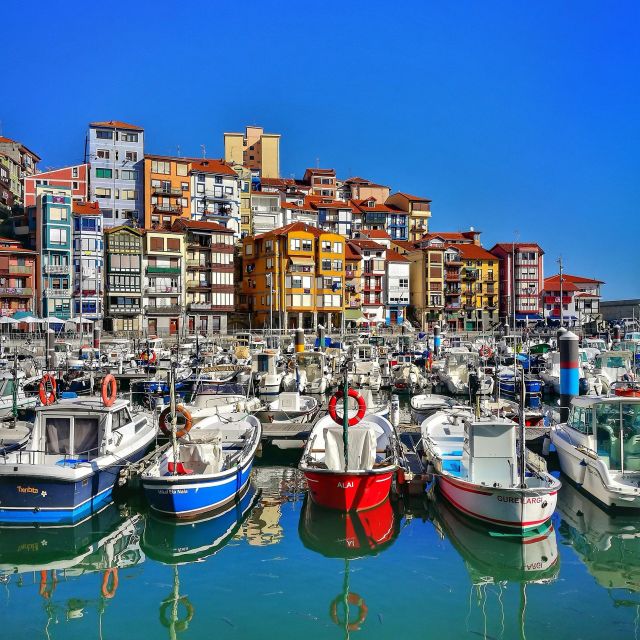 From Bilbao: Basque Coast Tour - Tour Experience