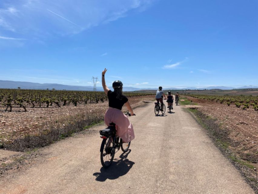 From Bilbao: La Rioja Wine Tour by E-Bike With Wine Tastings - Tour Details