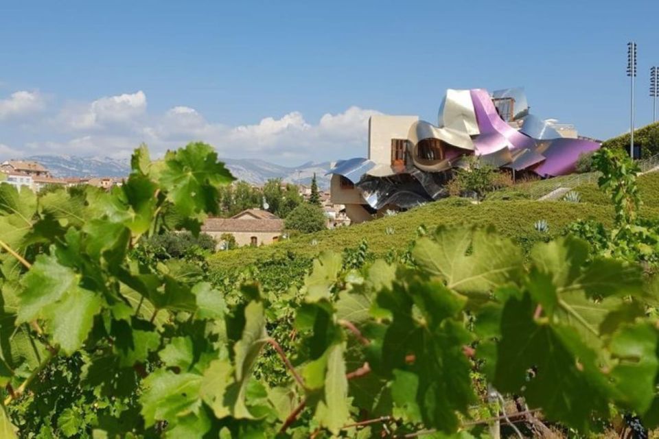 From Bilbao: Rioja Architecture and Wine Tour - Experience Details