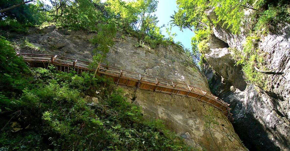 From Bled: Half-Day Pokljuka Gorge Trail Hike - Experience Highlights