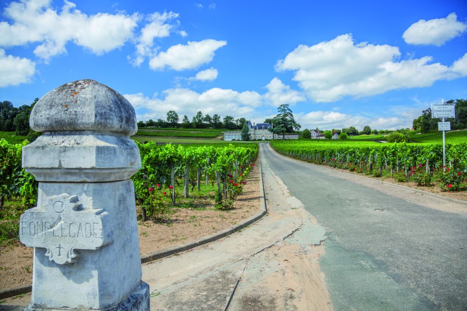 From Bordeaux: Full-Day St Emilion Wine Tasting Tour - Wine Region Highlights