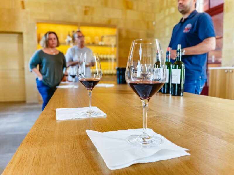 From Bordeaux: Saint-Emilion Guided Wine Tasting Tour - Experience and Activities