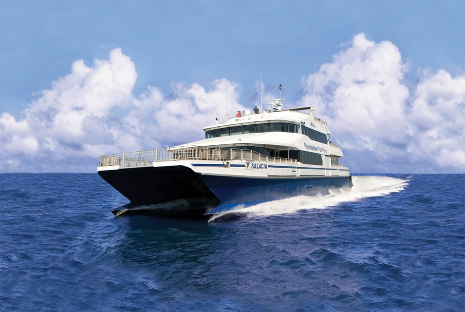 From Boston: One-Way or Round-Trip Fast Ferry to Cape Cod - Destinations and Activities