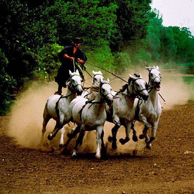 From Budapest: Puszta Horse Show and Countryside Visit - Booking and Cancellation Policy