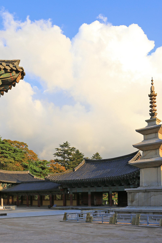 From Busan: Echoes of Silla Gyeongju Historical Day Tour - Experience and Cultural Insights