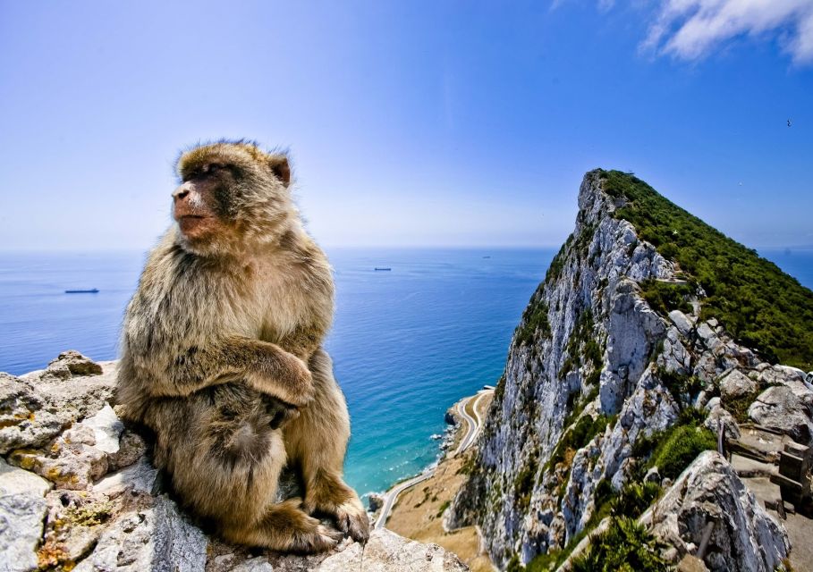 From Cádiz: Private Day Trip to Gibraltar & Vejer Tour - Historical Context of Gibraltar and Vejer