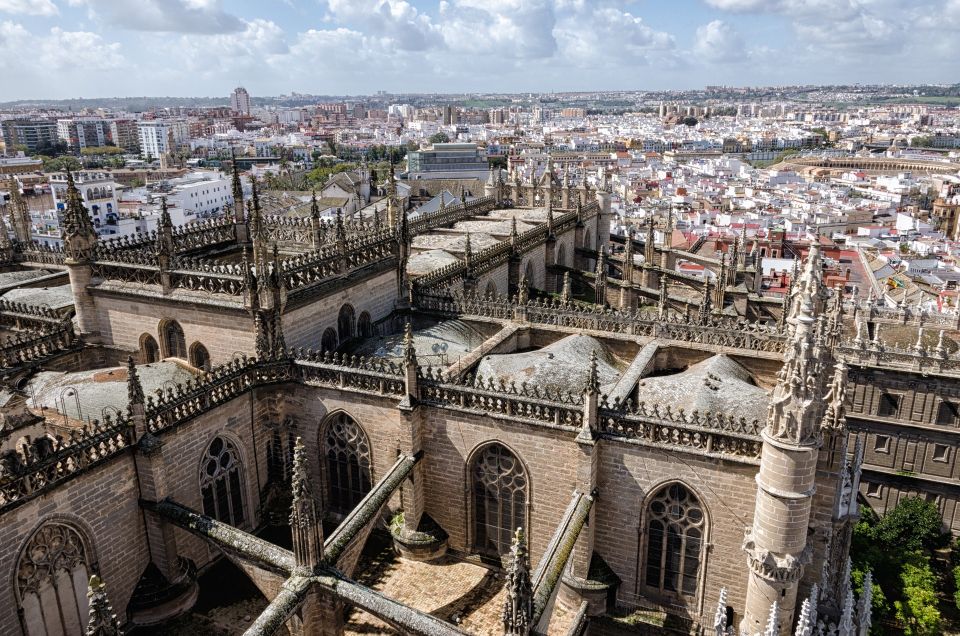 From Cadiz: Private Seville Day Trip, Cathedral & Alcazar - Tour Features