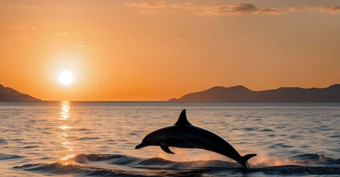 From Cagliari: Sunset Dolphin Watching Tour - Itinerary and Stops