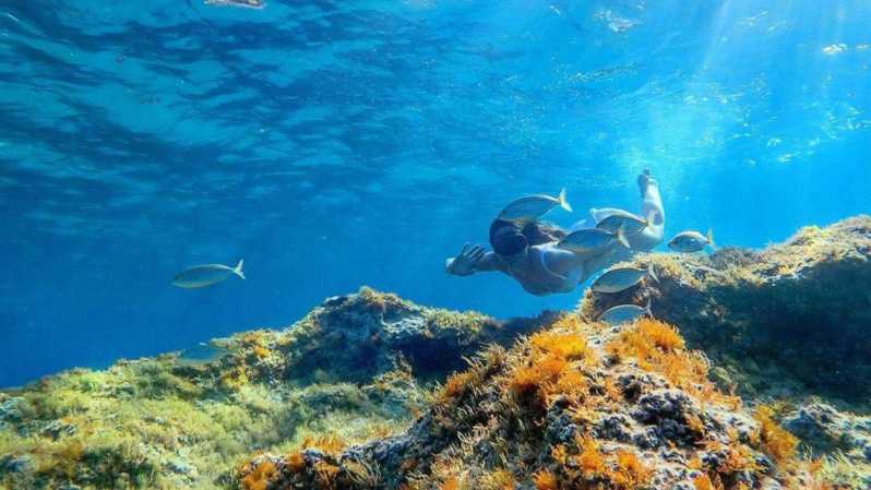 From Cala Gonone: Snorkeling in the Orosei Gulf - Snorkeling Program