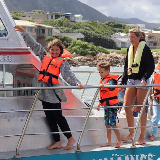 From Cape Town: Shark Cage Diving and Viewing - Booking Details