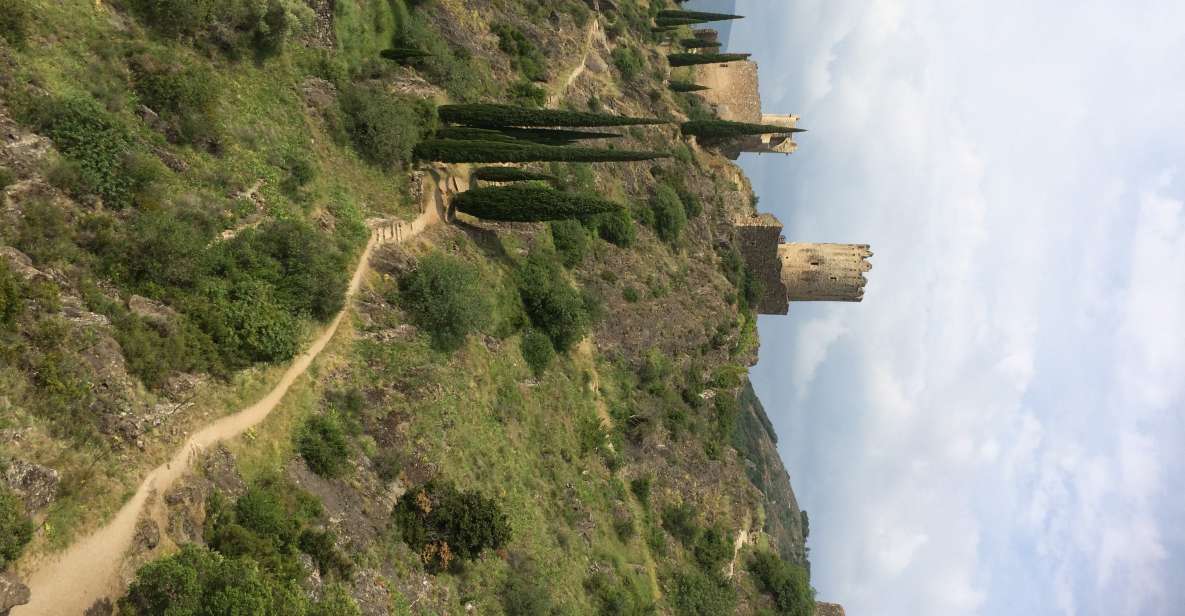 From Carcassonne:Lastours Castles & Carcassonne Guided Tour - Inclusions and Amenities