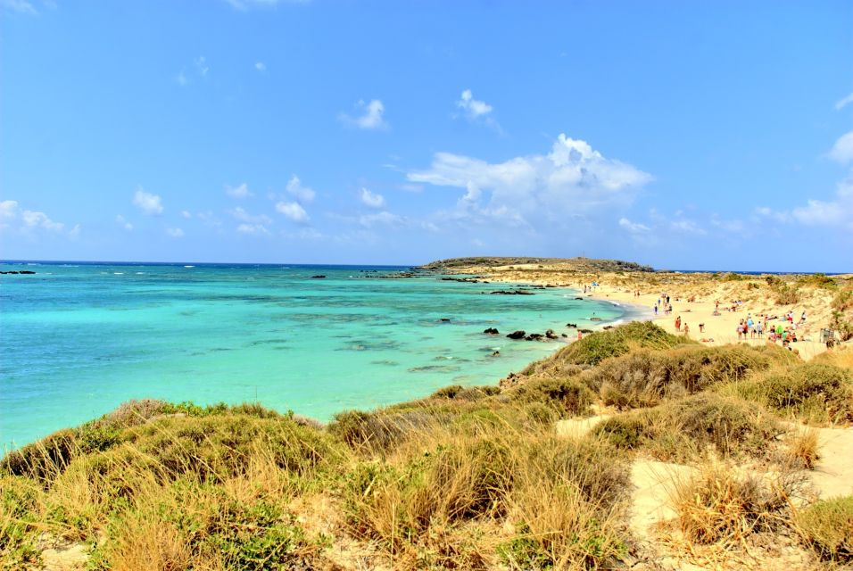 From Chania Area: Day Trip to Elafonisi Island by Bus - Environmental Significance