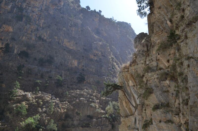 From Chania/Kalyves: Full-Day Samaria Gorge Hiking Day Trip - Highlights and Natural Features