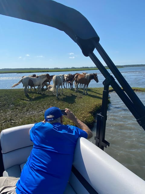 From Chincoteague: Pony and Wildlife Boat Tour - Captain and Expertise