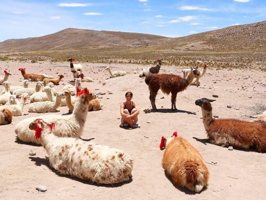 From Chivay: Route From Chivay (Colca) to the City of Puno - Scenic Stops Along the Route