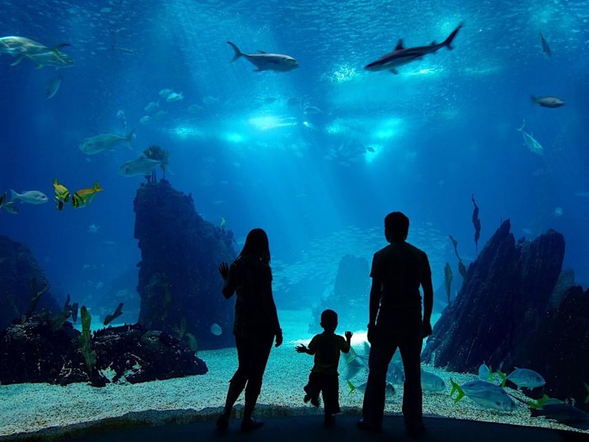 From City of Side: Antalya Aquarium Full-Day Trip - Free Time in Antalya