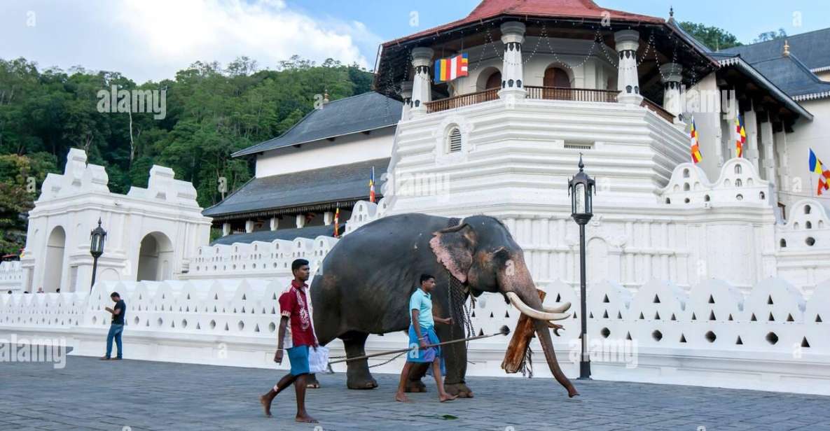 From Colombo: Kandy, Pinnawala and Tea Factory Full-Day Trip - Inclusions