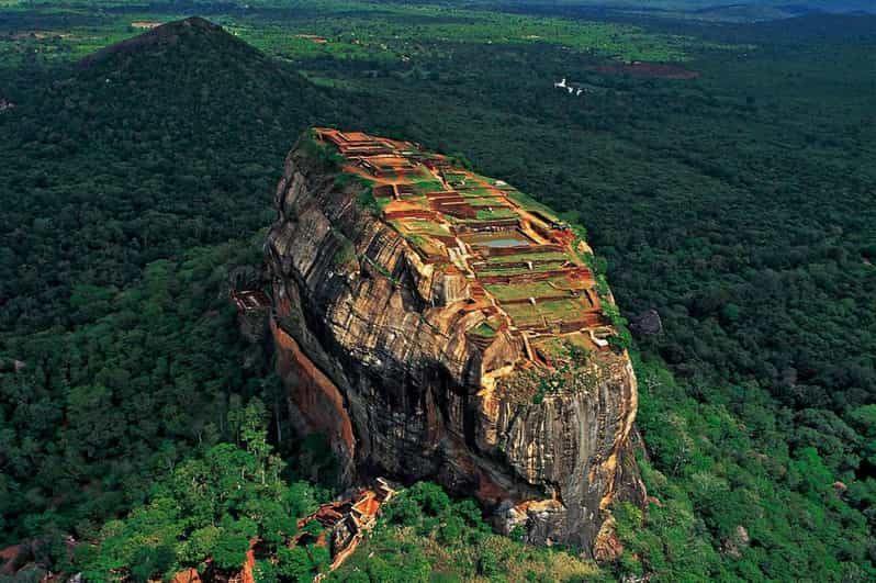 From Colombo: Sigiriya / Dambulla & Safari Day Tour - Highlights of the Tour