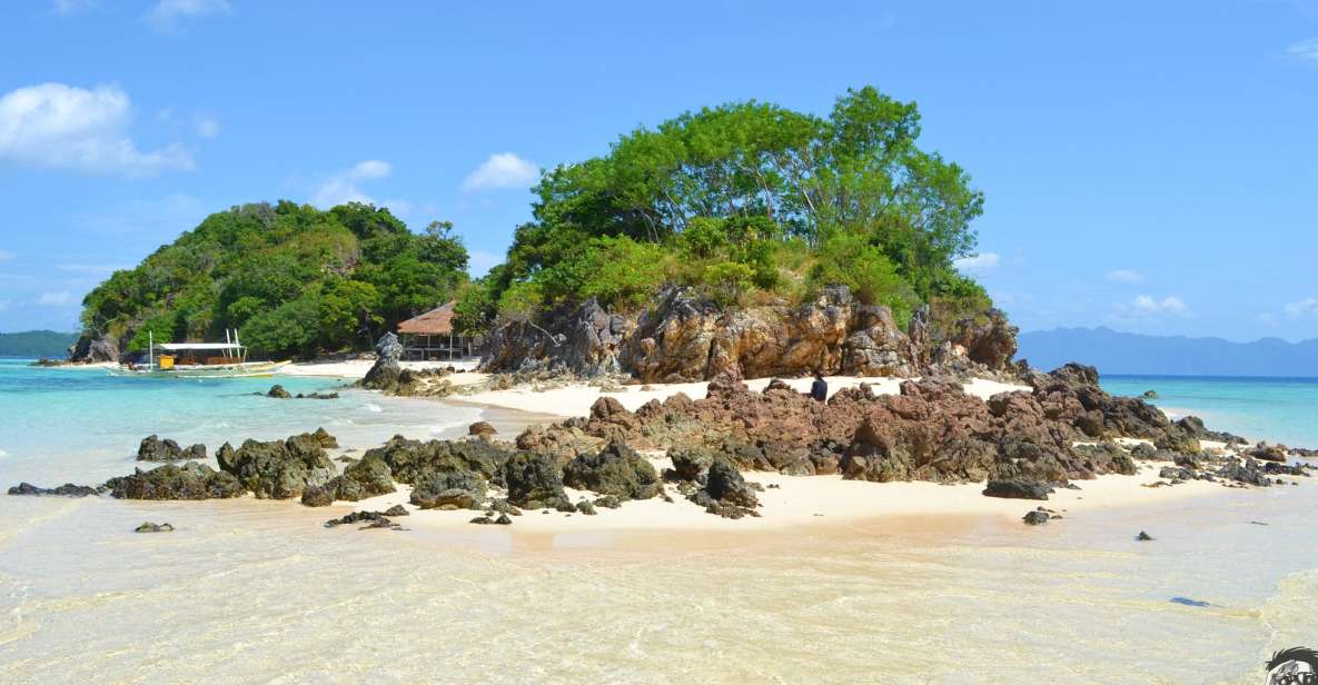 From Coron: Private Island-Hopping Cruise With Lunch - Experience Highlights