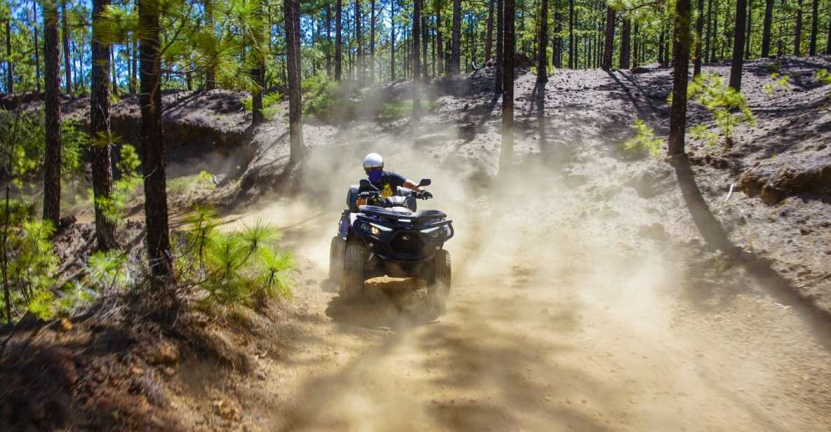 From Costa Adeje: Mount Teide Forest Off-Road Quad Bike Tour - Tour Highlights