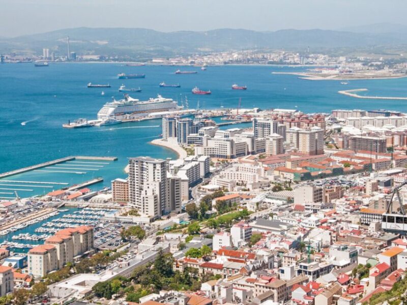 From Costa Del Sol: Gibraltar Dolphin Watching by Boat - Dolphin Watching Boat Ride