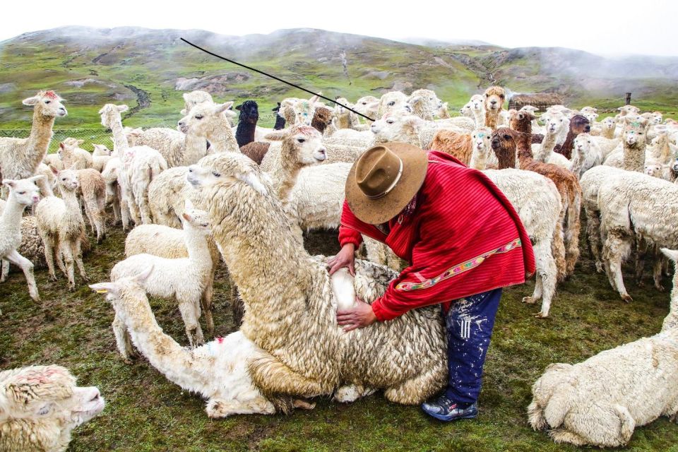 From Cusco: Hayuni Lines & Wheels (Pallay Orqo) |Full Day| - Key Activities