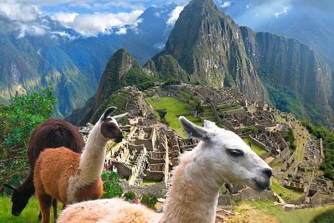 From Cusco: Machu Picchu Full-Day Group Tour - Accessibility Features